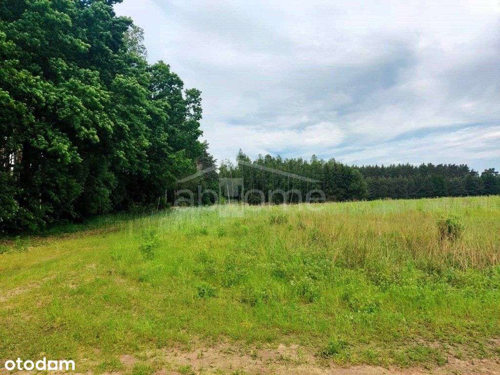 Kobylanka: działka z planem zagospodar. pod lasem - Pełny obrazek: 5/6