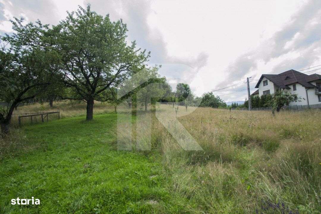 Teren investitie Bran - Predelut, la 2 km de Castelul Bran - Imagine principală: 2/10