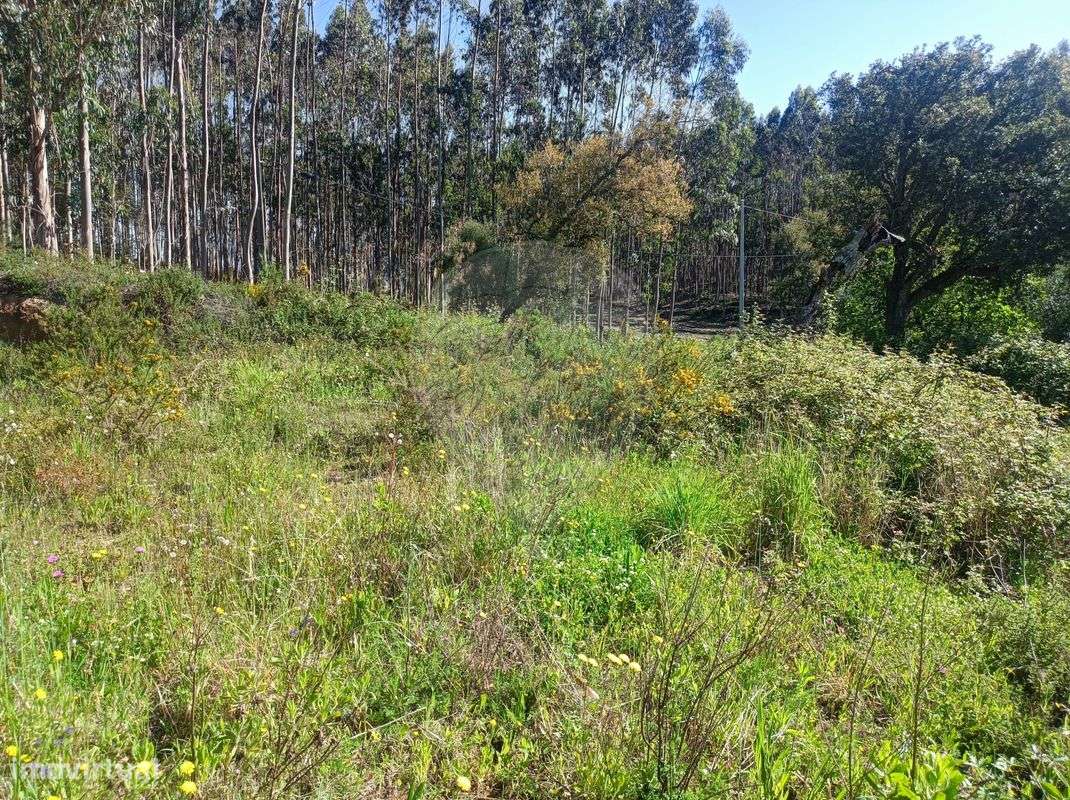 Terreno  para venda - Grande imagem: 4/7