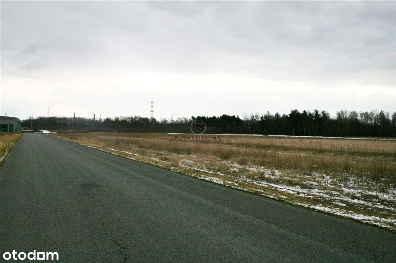 Działka inwestycyjna 9631m2 produkcyjno-usługowa - Pełny obrazek: 5/5