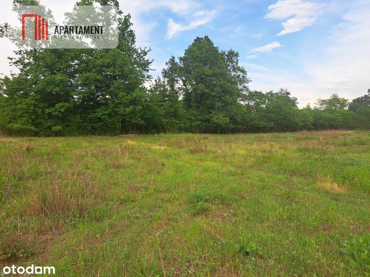 Działka z widokim na las 35 km od Wrocławia! - Pełny obrazek: 5/9