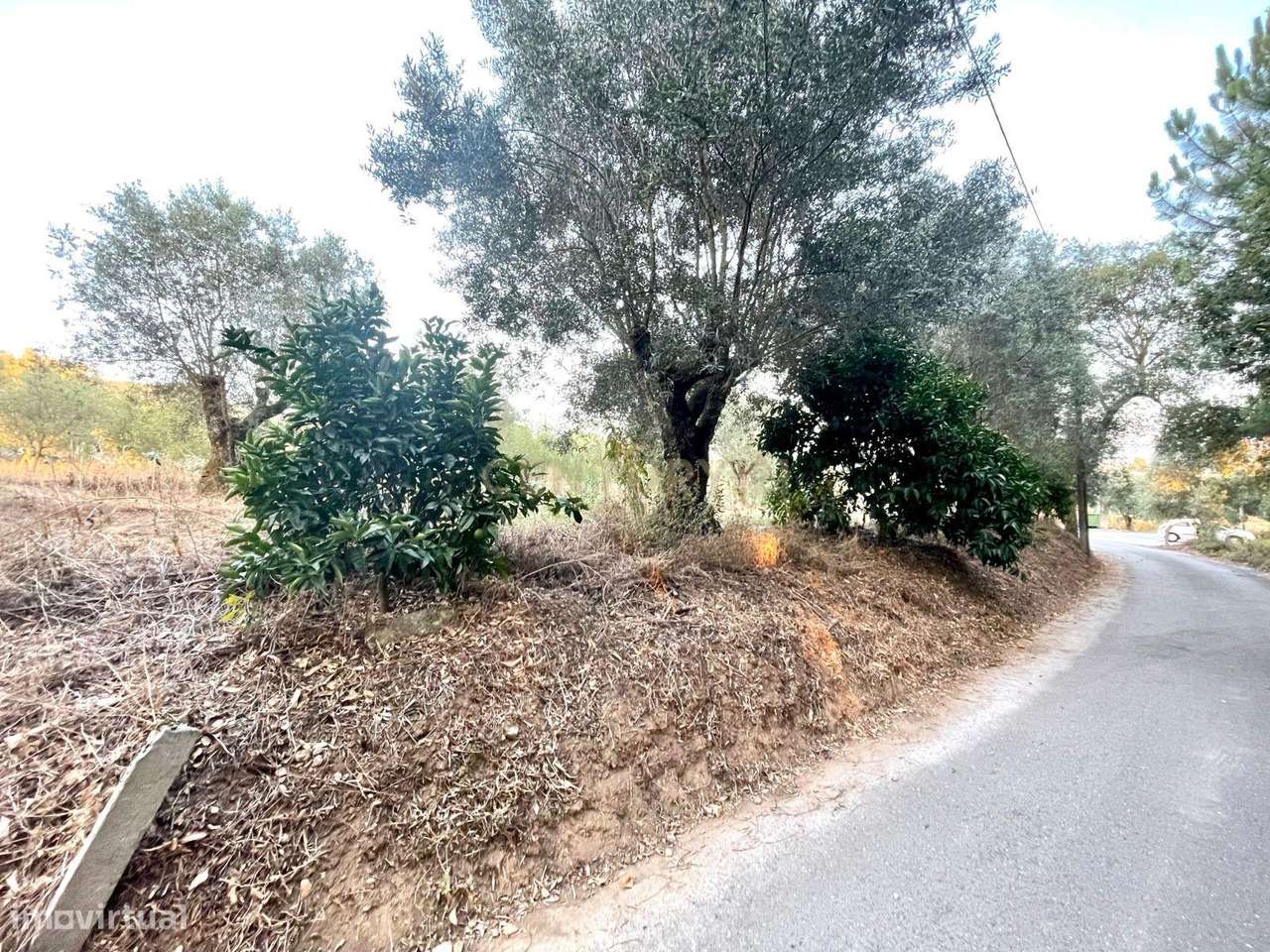 A sua Moradia Térrea de Sonho começa aqui! - Grande imagem: 4/11