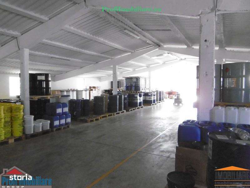 Hale pentru inchiriere aproape de Centura Arad si Autostrada A1 - Imagine principală: 2/14
