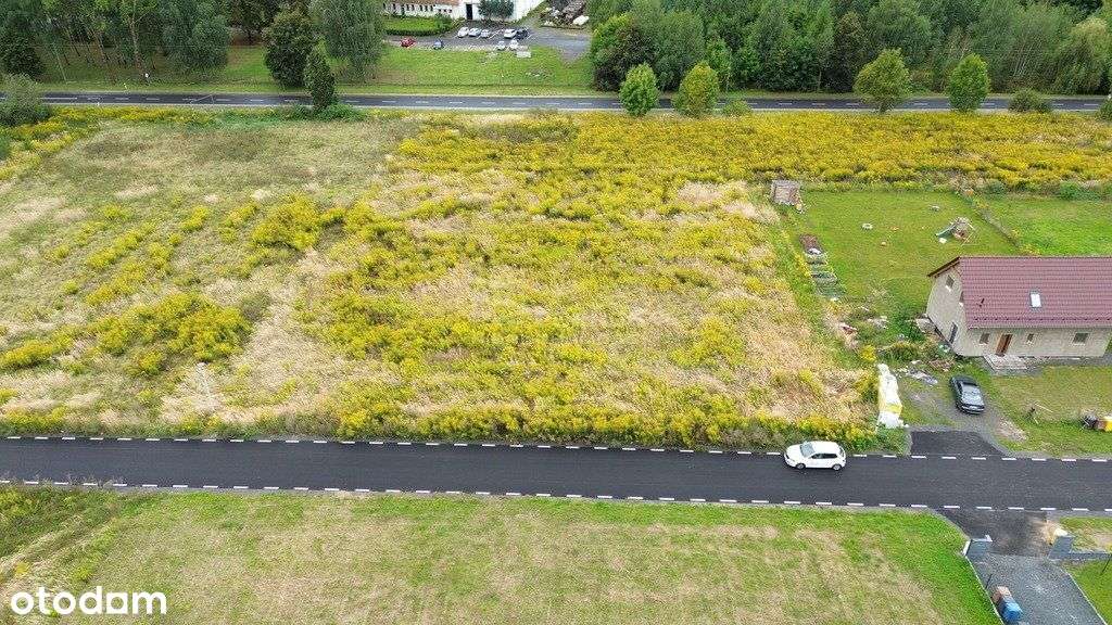 Działka budowlana w Iwinach - Pełny obrazek: 5/8