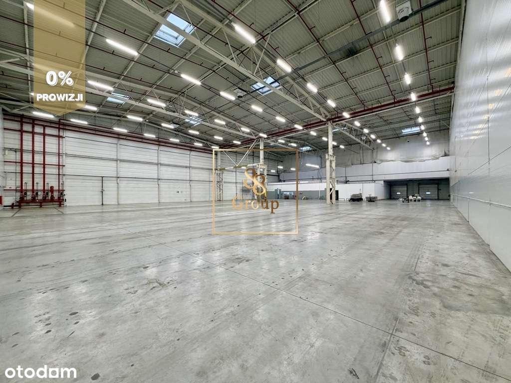 Magazyn 2000m2 + biuro 140m2. Ursus - Pełny obrazek: 4/8
