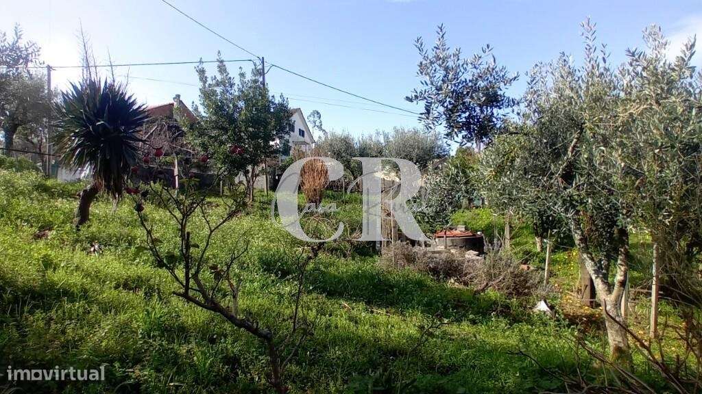 Moradia em pedra em Figueiró dos Vinhos com terreno e poço de água-21