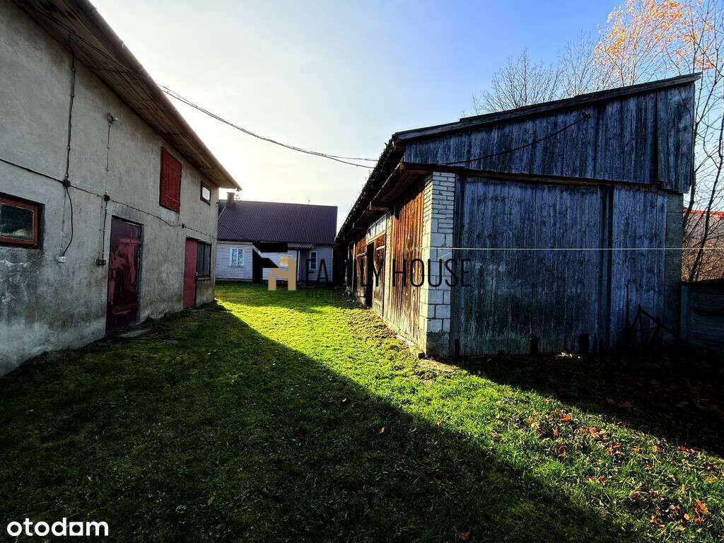 Dom 65m²/ działka 9354m² Węglów/Wąchock - Pełny obrazek: 4/19