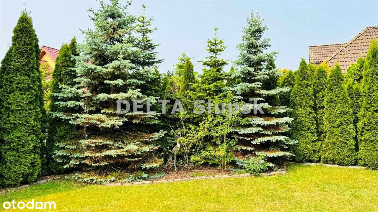 ⭐ Dom z charakterem – komfort, elegancja, spokój-13