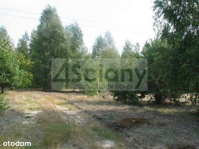 Działka pod zabudowę rezydencyjną - Pełny obrazek: 4/4