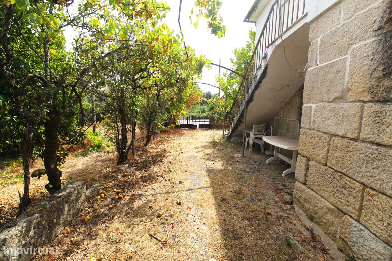 Quinta com 8.000 m² a apenas 10 km do centro de Viseu-7