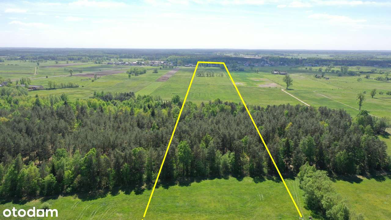 Siedlisko i tereny rolno-leśne - Pełny obrazek: 4/20