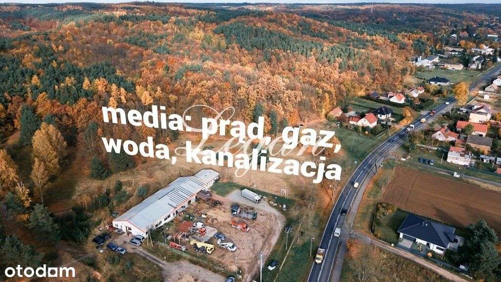 Działka usługowa 3600 m² w Motylewie - Pełny obrazek: 5/6