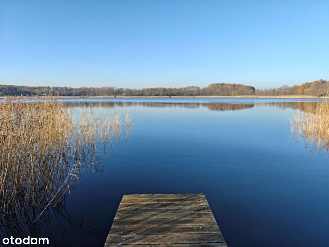 NA Sprzedaz Działka Z Linią Brzegową Jeziora-12