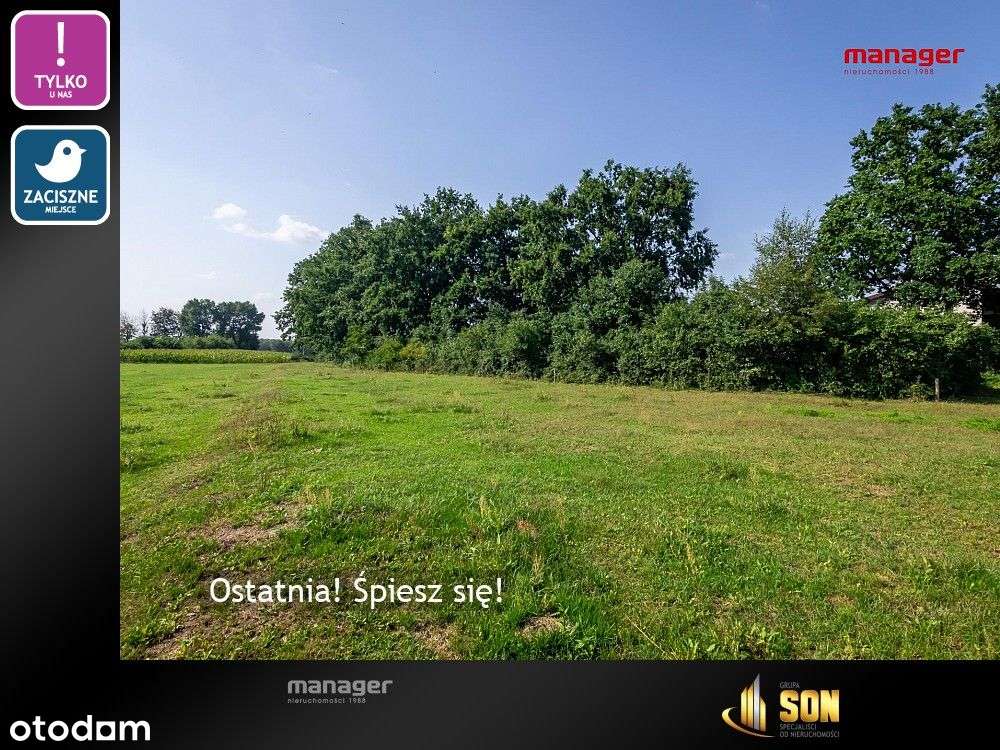 Działka, 3 242 m², Babice - Pełny obrazek: 4/6