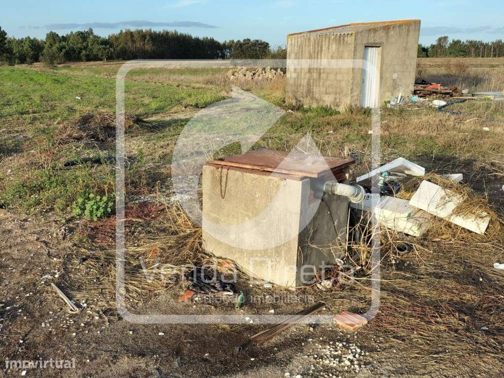 Terreno com 110.000 m2 junto à Nacional 10 - Com Armazém, Furo Lice...-7