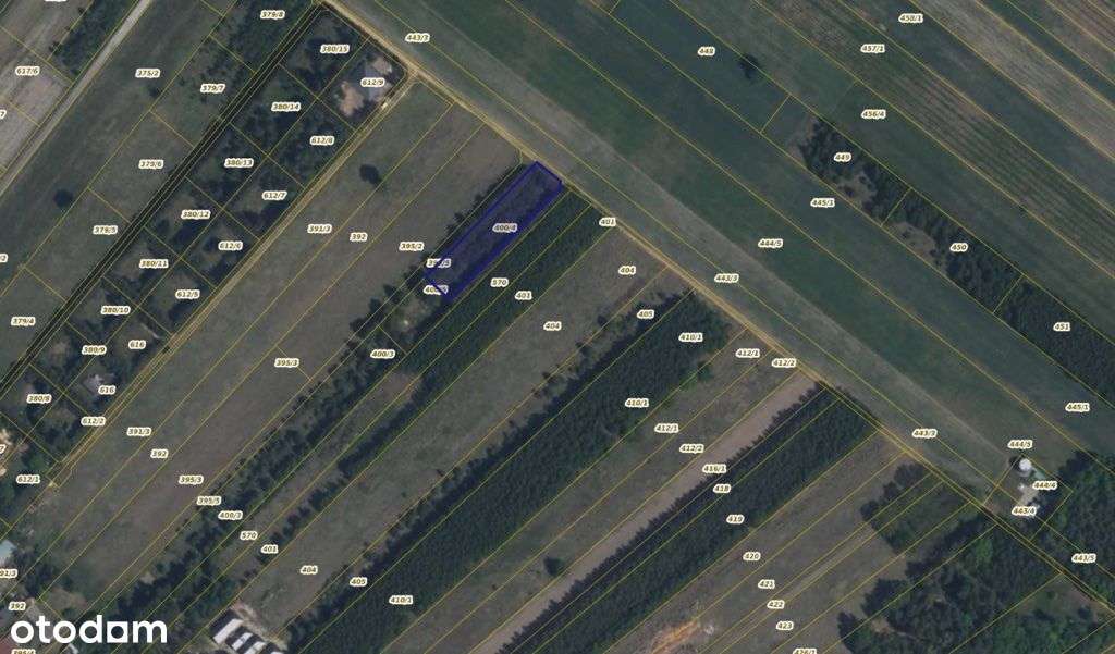 Działka w Korytowie - Pełny obrazek: 3/3