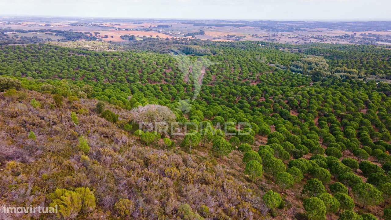 Herdades em São Luís - Grande imagem: 3/17
