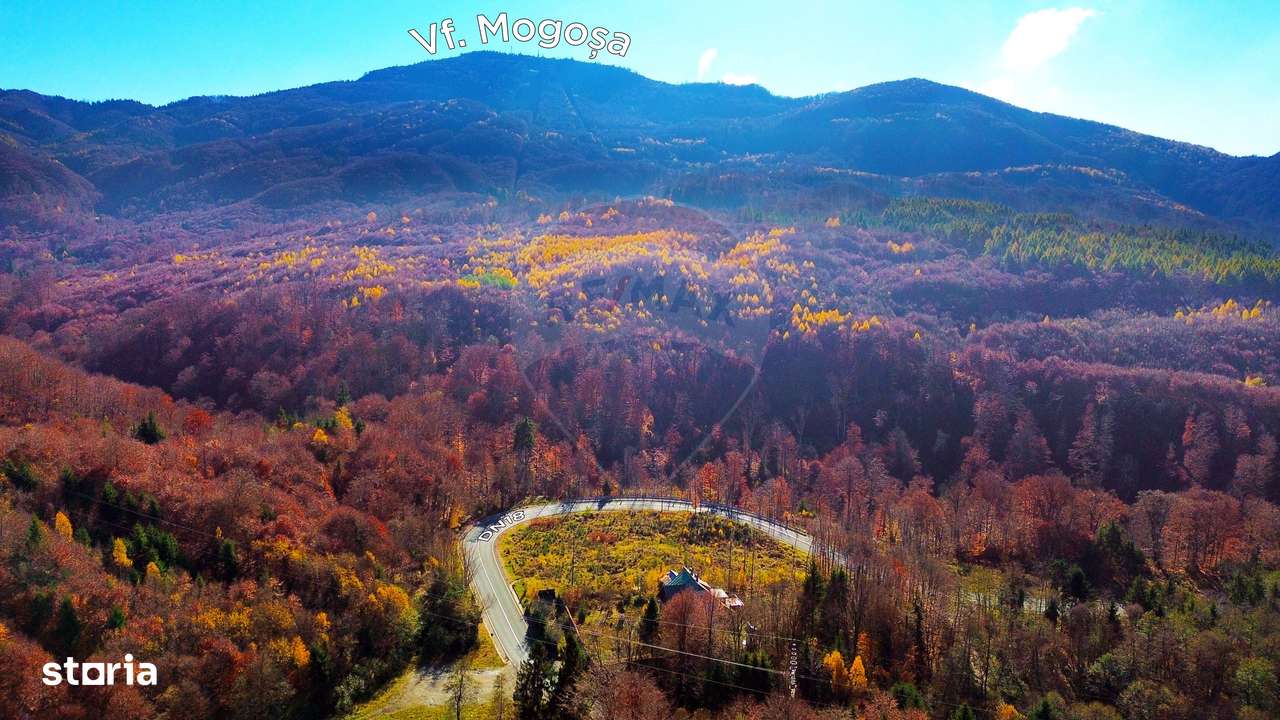 DE VANZARE DN Baia Mare–Sighet  29AR  Construcție multifunctionala - Imagine principală: 4/4