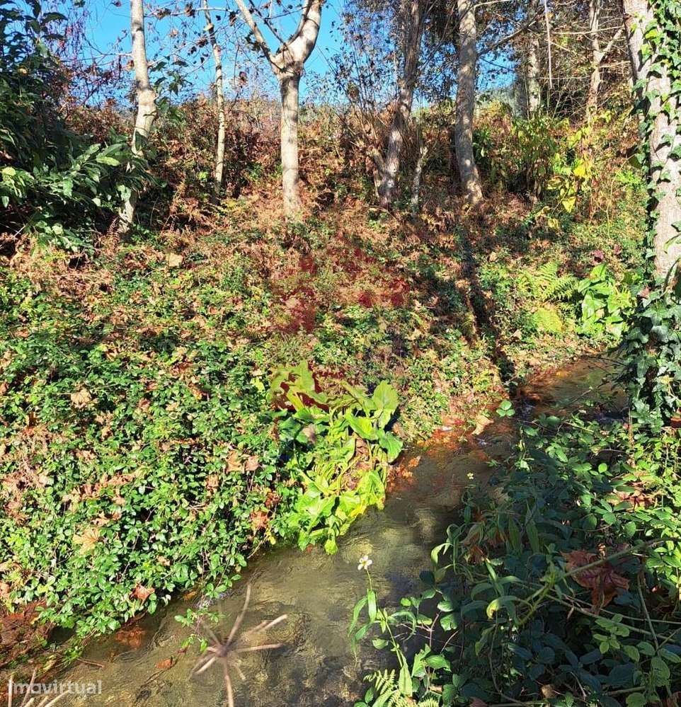 Terreno Agrícola, Gondiães - Grande imagem: 5/9