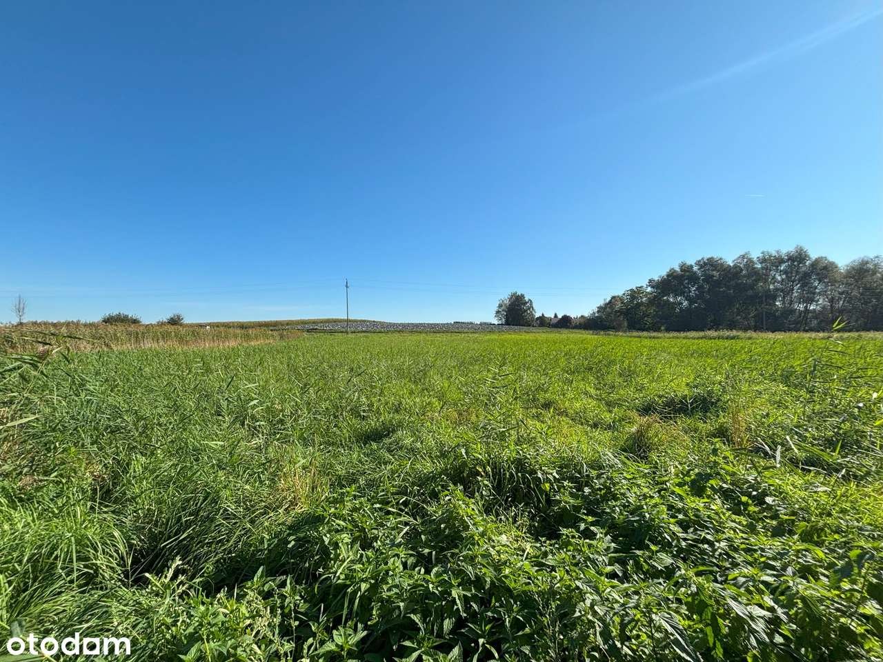 Kraków – Nowa Huta – Kościelniki – działki rekreacyjne od 8-60 ar-5