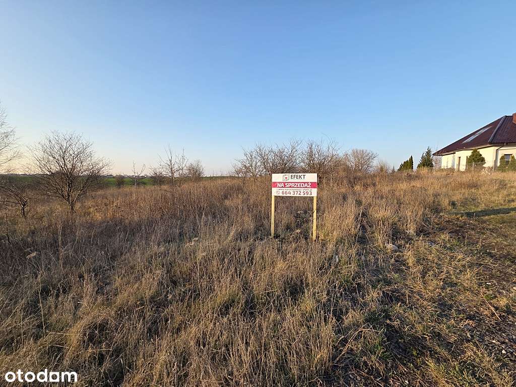 Z widokiem na panoramę miasta-7