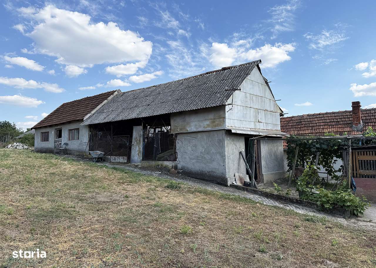 Casa cu teren de 8000 mp. - Cetariu - IMOBIHOR - Imagine principală: 4/14