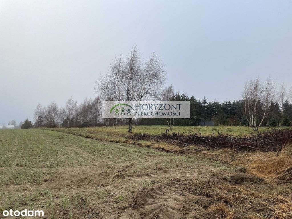 Dobrzewino - działki budowlane-0