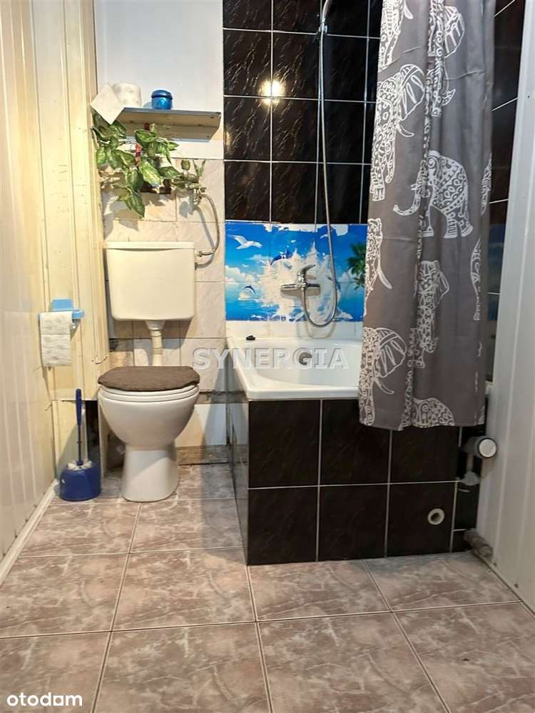 Duża kawalerka w centrum miasta-10