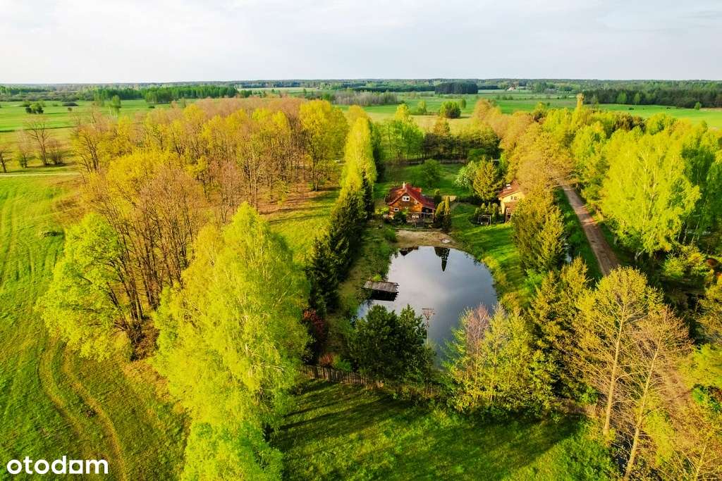 Naturalne siedlisko w otoczeniu zieleni oraz rzeki Pisy - Pełny obrazek: 4/20
