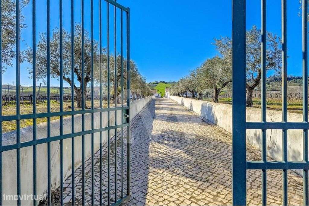 Quinta Vitivinícola com 35,74ha, em plena produção, a 30 minutos de Li - Grande imagem: 2/60