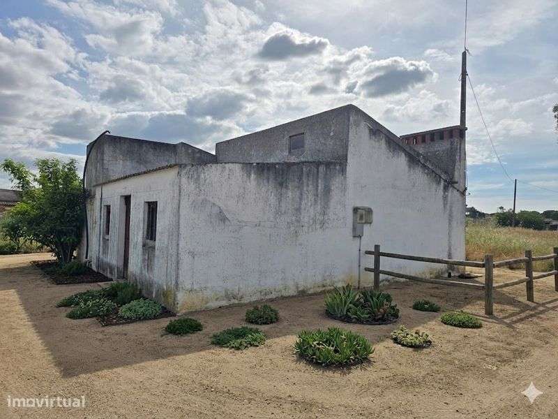 Terreno com casa Grândola-0