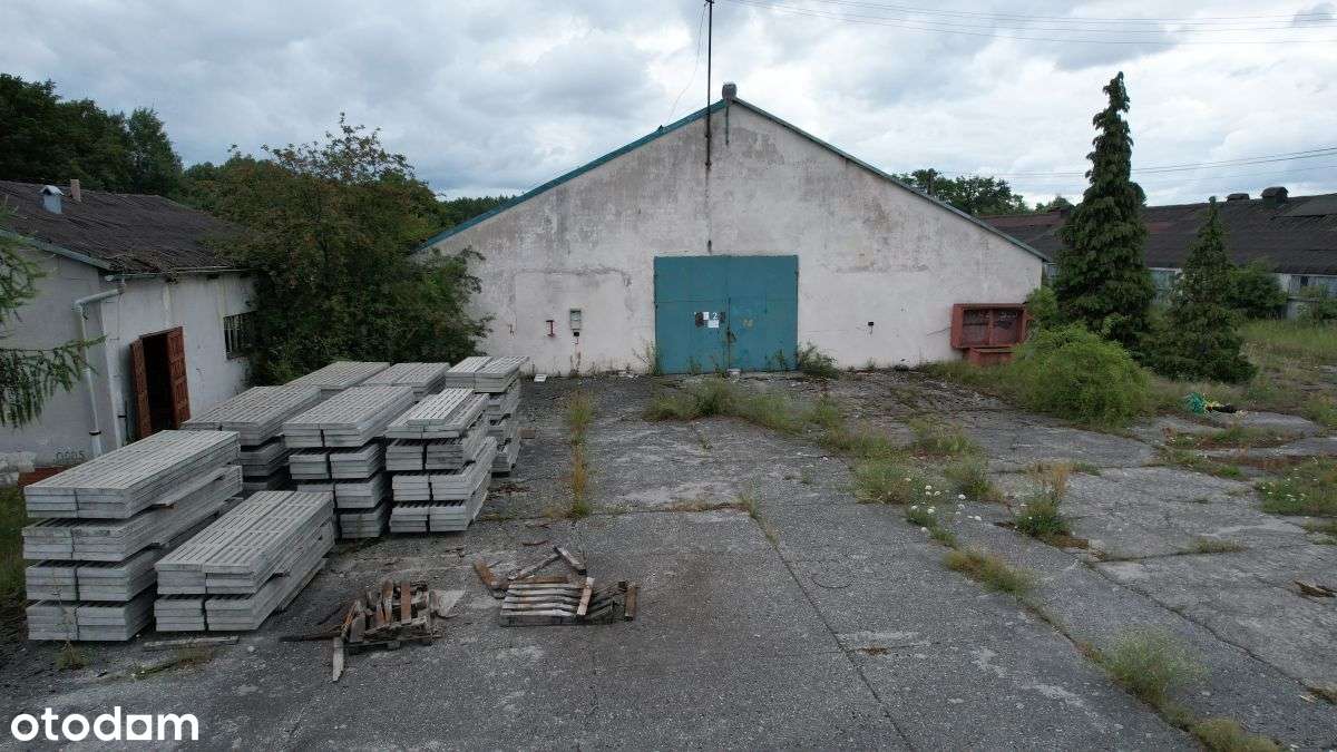 Hala/Magazyn, 8 080 m², Mierków - Pełny obrazek: 5/11