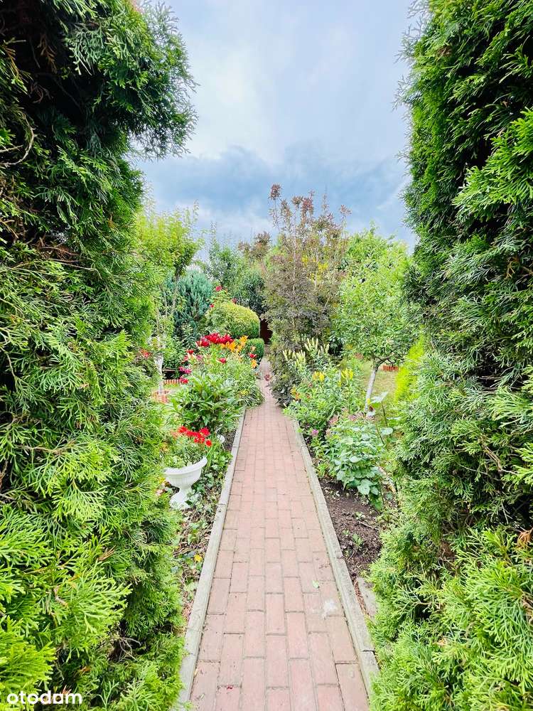 Działka ROD | Urokliwa i zadbana | Z całym wyposażeniem!-13