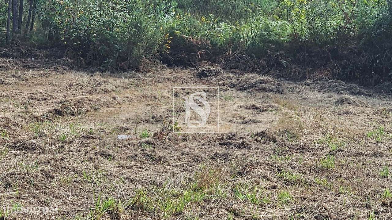 Terreno com 1000 m²  para construção - Grande imagem: 3/12