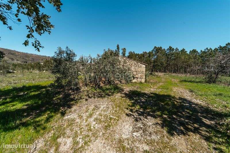 Quinta T1 / Fundão, Monte Leal - Grande imagem: 5/20