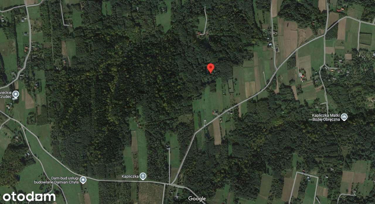 Działka budowlana 5177 m2 granicząca z mniejszą działką Lubenia - Pełny obrazek: 3/5