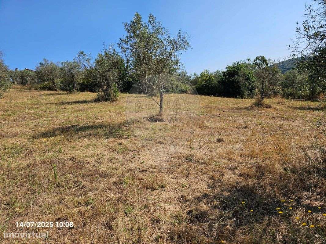 Terreno  para venda - Grande imagem: 4/6