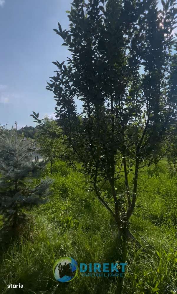 Casa cu toate utilitățile 58m2 , 1600 m2 teren, 25.000 euro, Susenii B-6