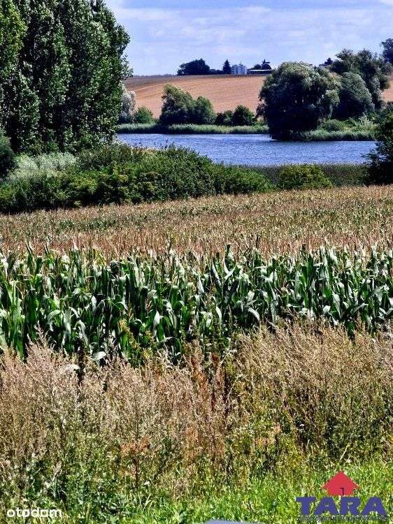 Działka blisko dwóch jezior!-8