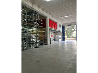 Armazém Industrial bem Localizado em Mafra - Grande imagem: 5/19