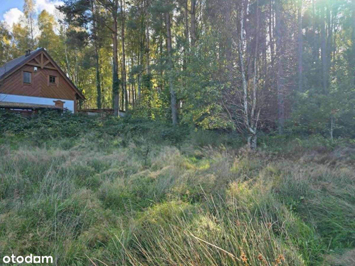 Magiczne Kopalino nad morzem - Pełny obrazek: 4/6