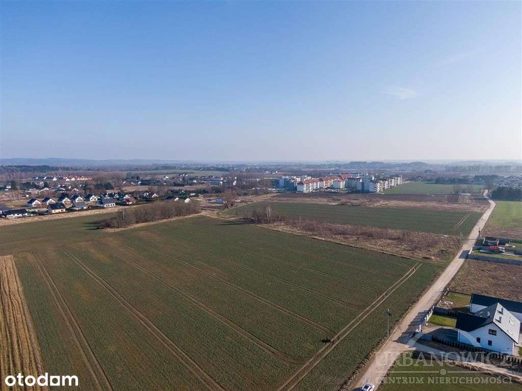 Duża działka dla dewelopera, Koszalin Pszeniczna. - Pełny obrazek: 3/12