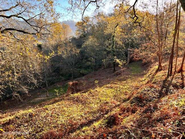 Terreno, 4 980 m², Ponte da Barca, Vila Nova de Muía e Paço Vedro de Magalhães - Grande imagem: 4/7
