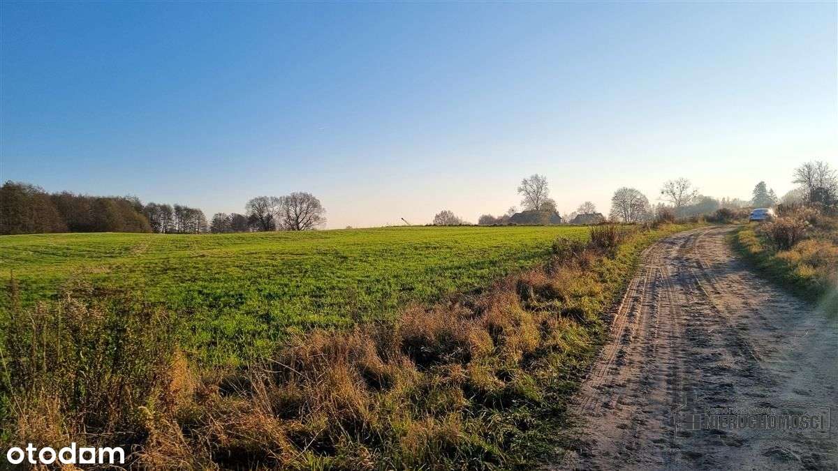 Parsęcko – działka 1,3 ha z możliwością siedliska.-7