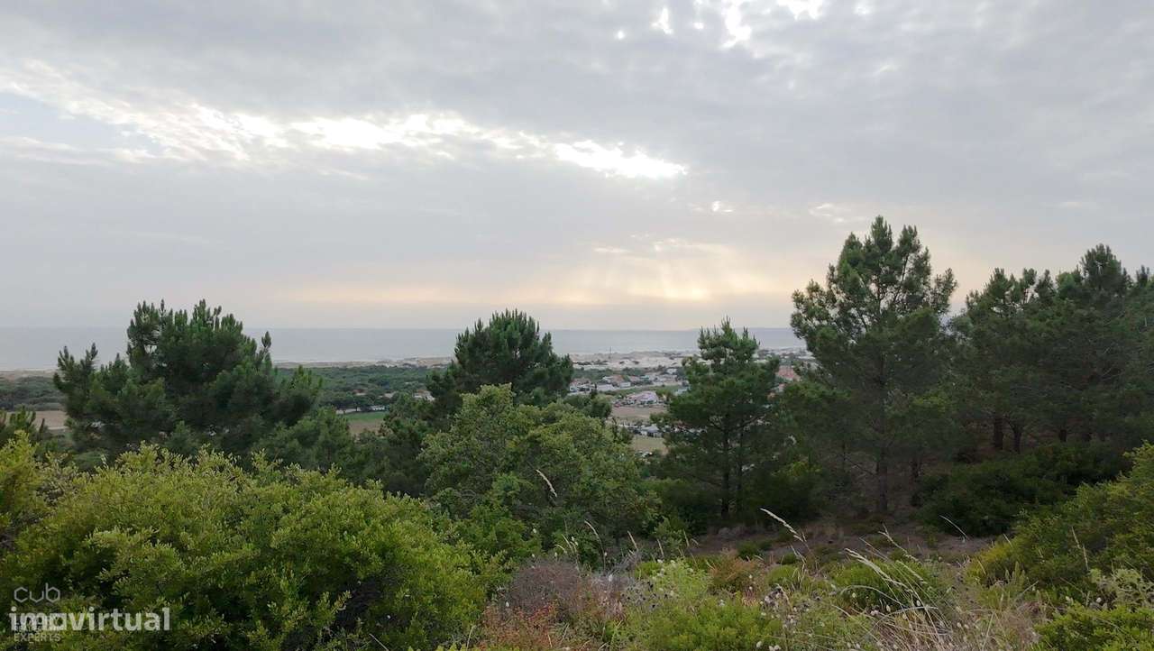 Terreno Rústico com Vista Mar e Potencial Ecológico-10