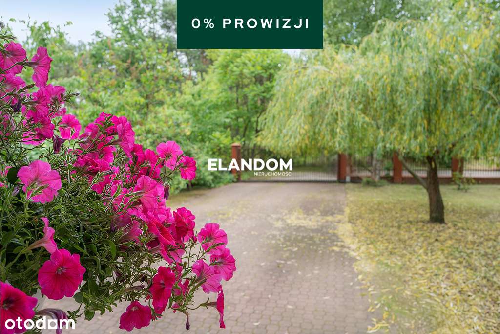 Klasyczny dom 6 pokoi lokalizacja super - Pełny obrazek: 4/12