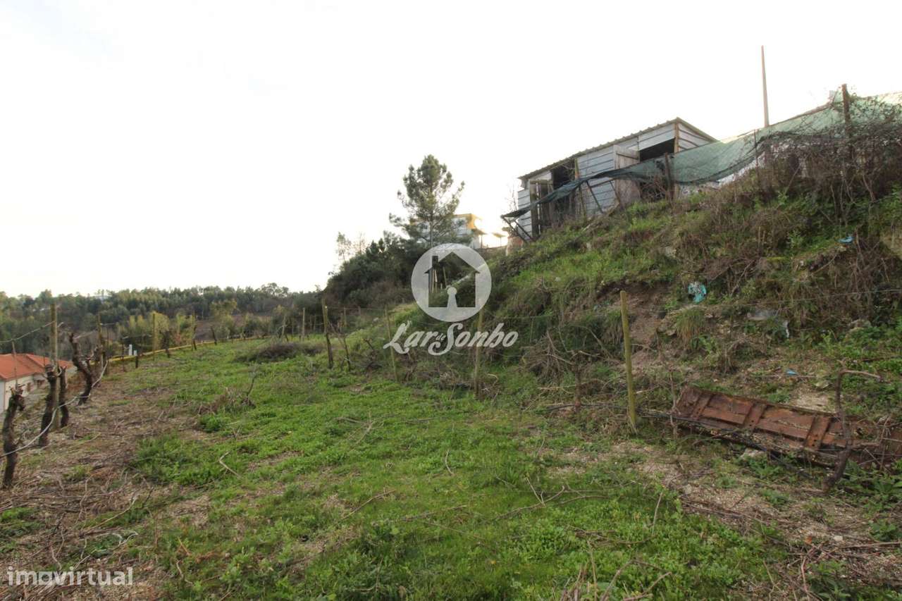 Terreno com armazém para atividade de confeção em Gandrela Celorico... - Grande imagem: 4/5