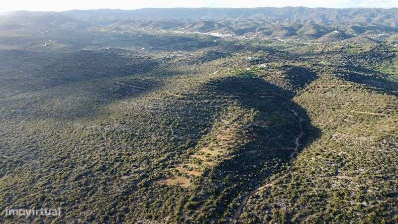 Terreno Rustico Algarve 19500m2 - Grande imagem: 5/11