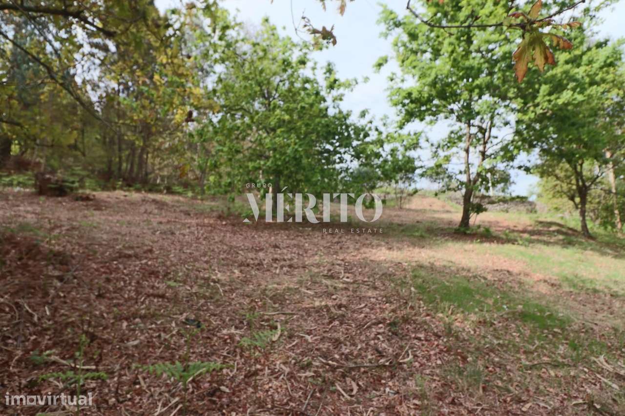 Lote de terreno para construção, com área total de 4.861M2 na freguesi - Grande imagem: 5/18