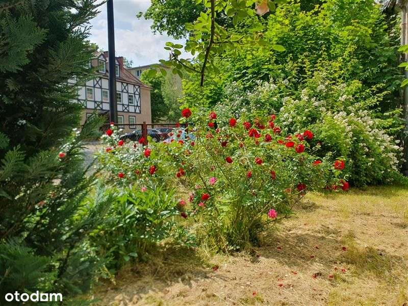 Dom wolnostojący - Gdańsk Wrzeszcz-13